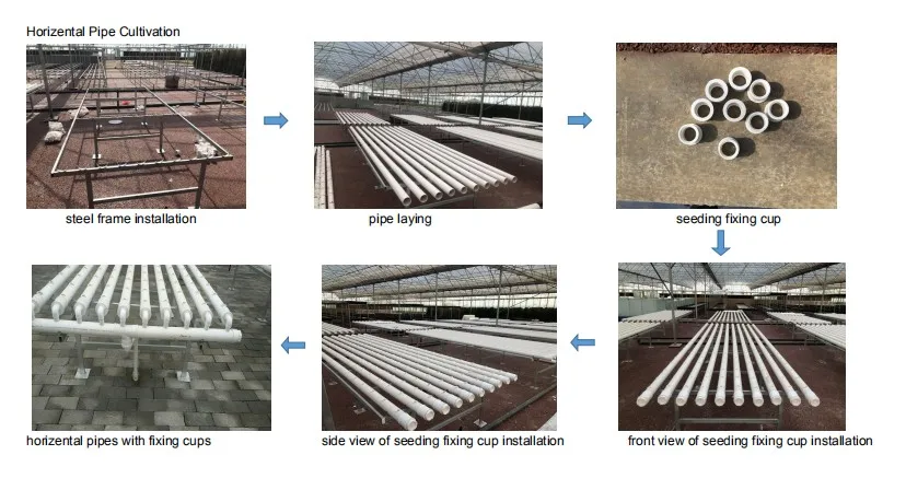 Horizental Pipe Cultivation System