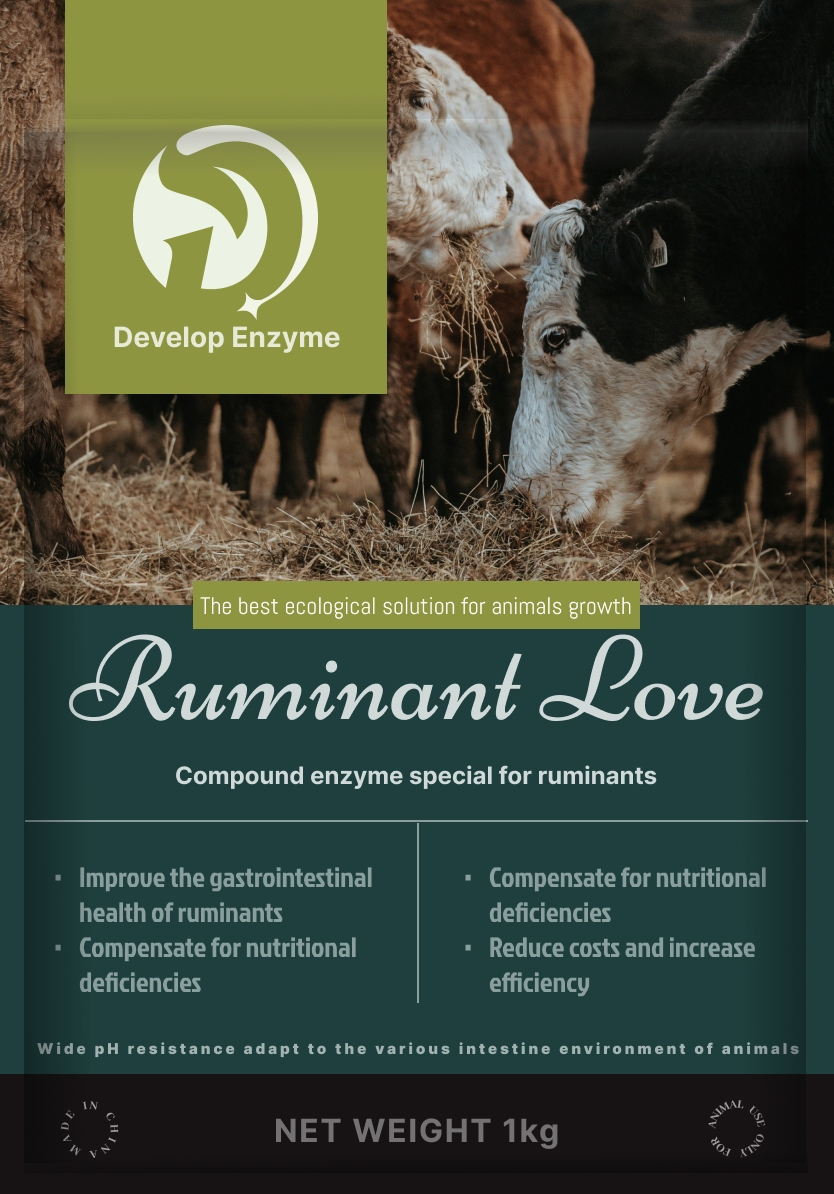 Customized Livestock Cow Cattle Sheep Goat Pig Poultry Feed Enzyme Solution