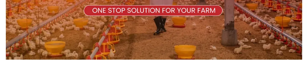 Poultry Growth Optimization