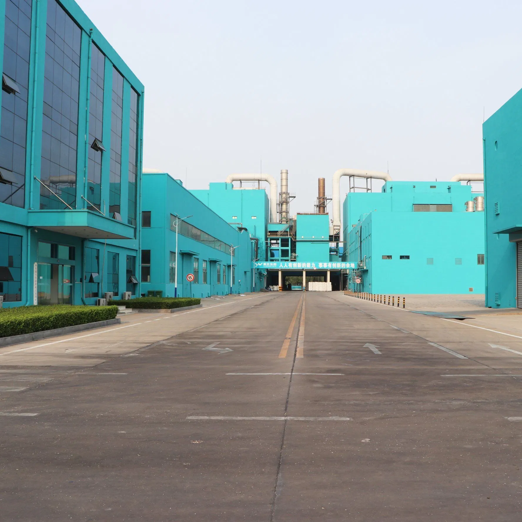 Universal Enzymatic Soy Protein for Livestock, Poultry &amp; Aquaculture - Functional Feed Grade Ingredient - Improves Fcr &amp; Growth Uniformity