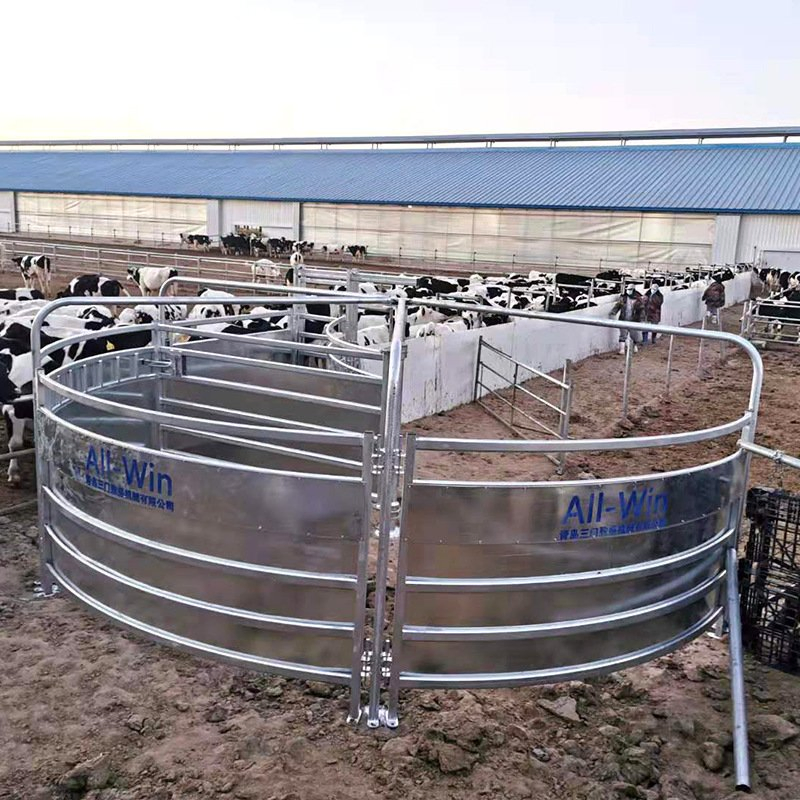 Hot Dipped Galvanized Sheep/Cattle/Goat/Horse Yard Sorting System Panel Yard