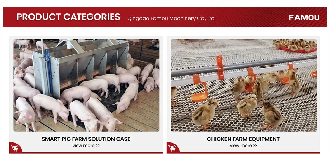 Feeding System Detail 1