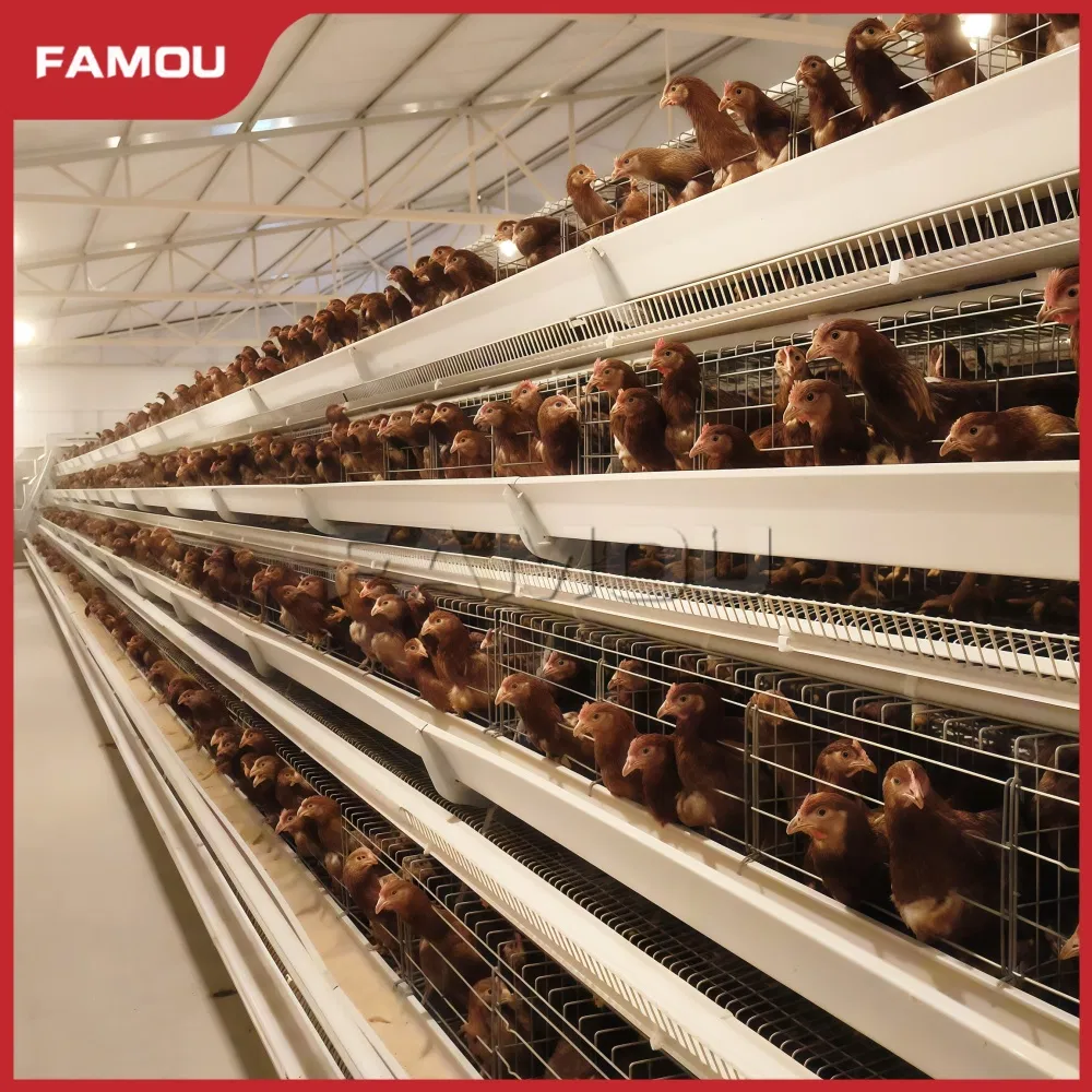 Innovative Type Layer Chicken Cage for Modern Poultry Operations
