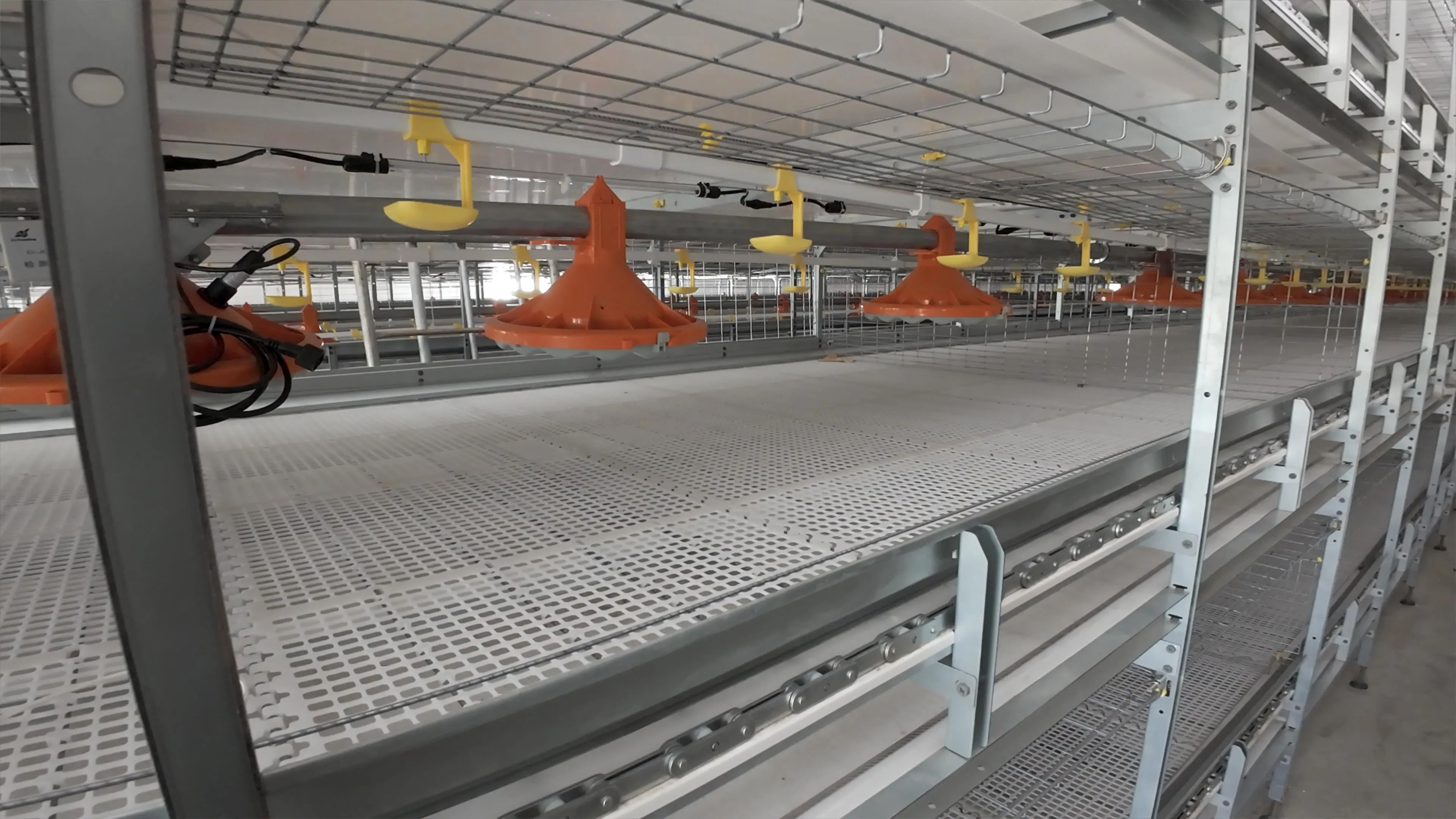 Advanced Layer and Breeder Broiler Cage Systems for Optimal Production