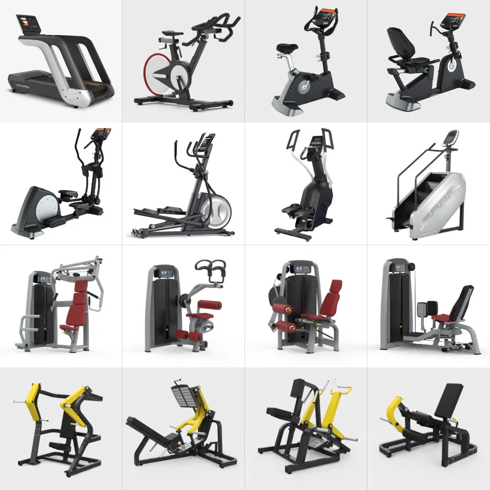 Workout Prime Commercial Sports Exercise Strength Fitness Equipment Gym Equipment for Indoor Gym Training