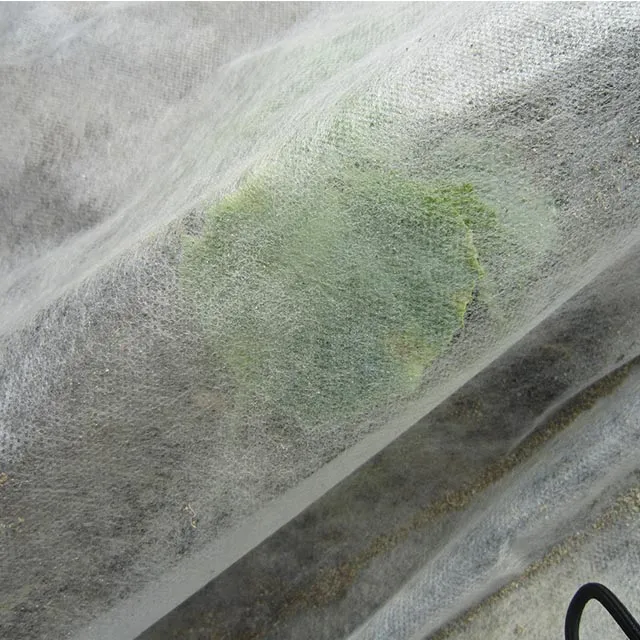 Spunbond Nonwoven Fabric 5