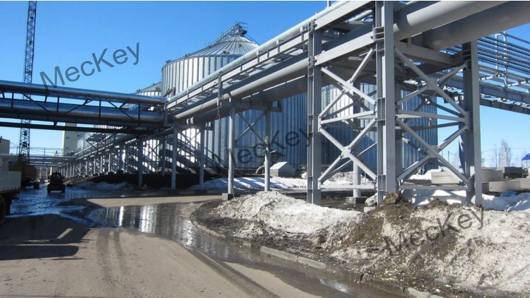 Premium Lysine Crop Booster for Optimal Yields and Growth