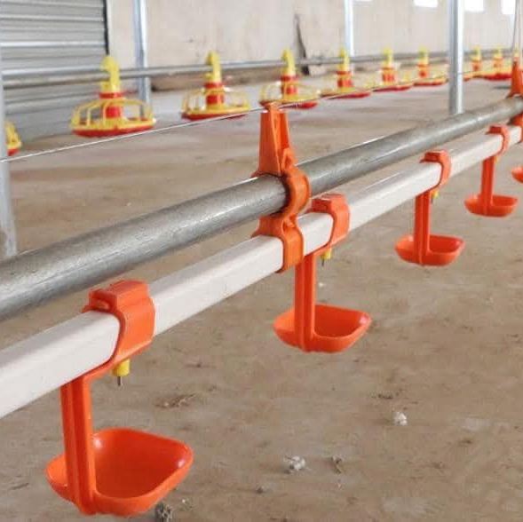 Top Quality Chicken Automatic Chicken Coop Poultry System