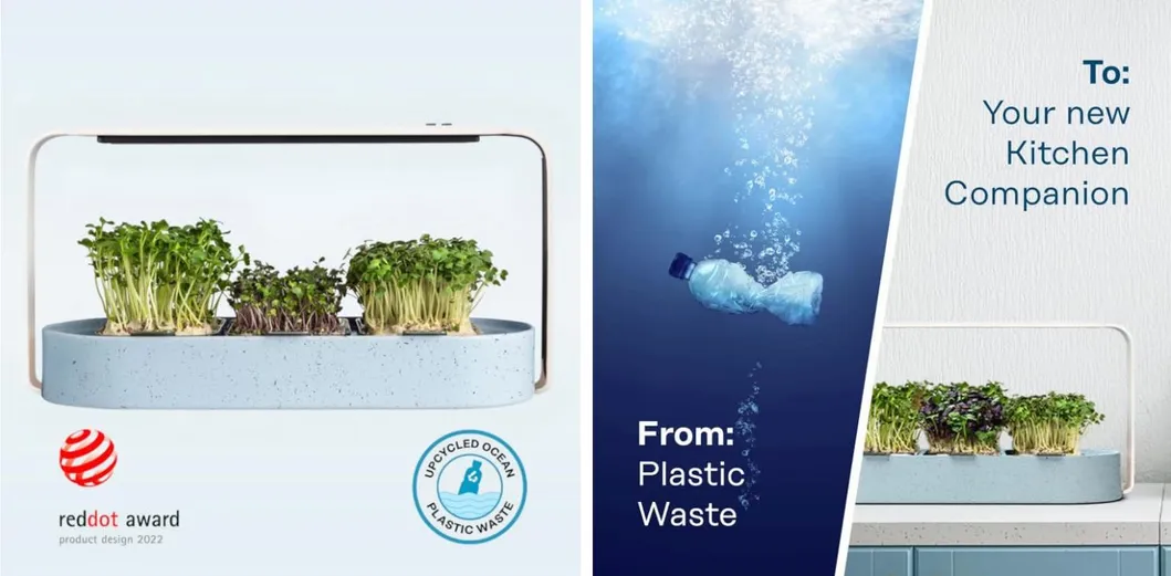 Microgreen Growing Kit Overview