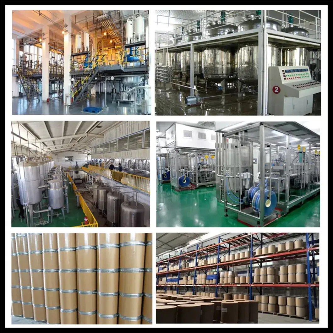 Thiamine Supplement Warehouse