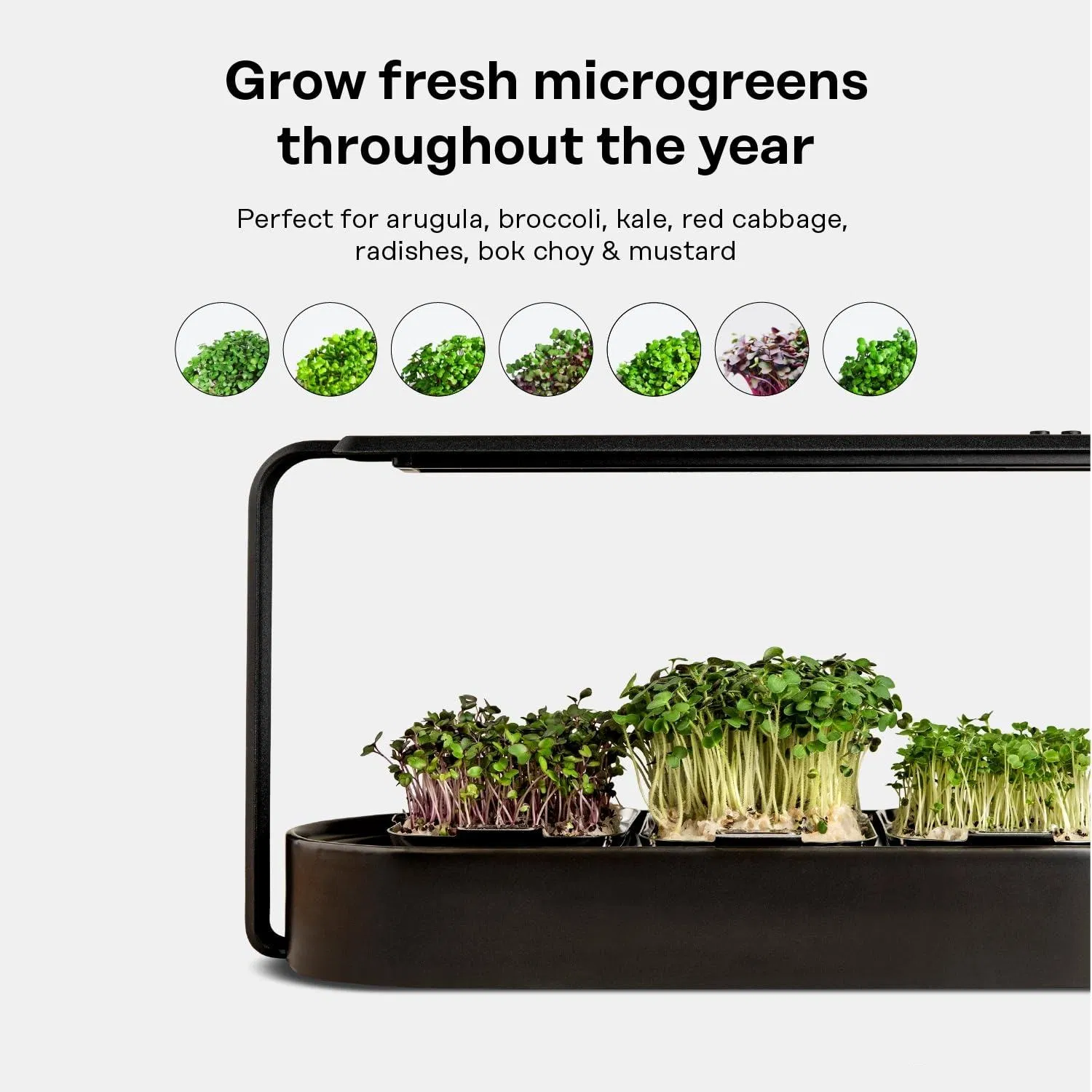 Organic Microgreen Grow System with LED Grow Light