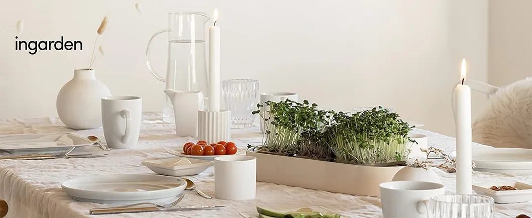 Hydroponic System Overview