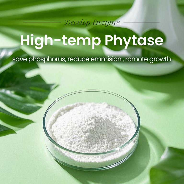 Price Water-Soluble Feed Phytase Enhance Nutrient Absorption and Animal Growth