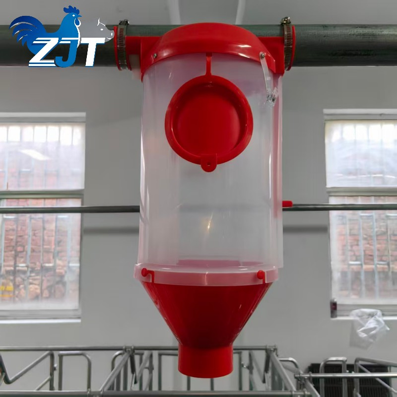 Reliable Pig Cup Feeding System for Featuring Automatic Quantitative Cup