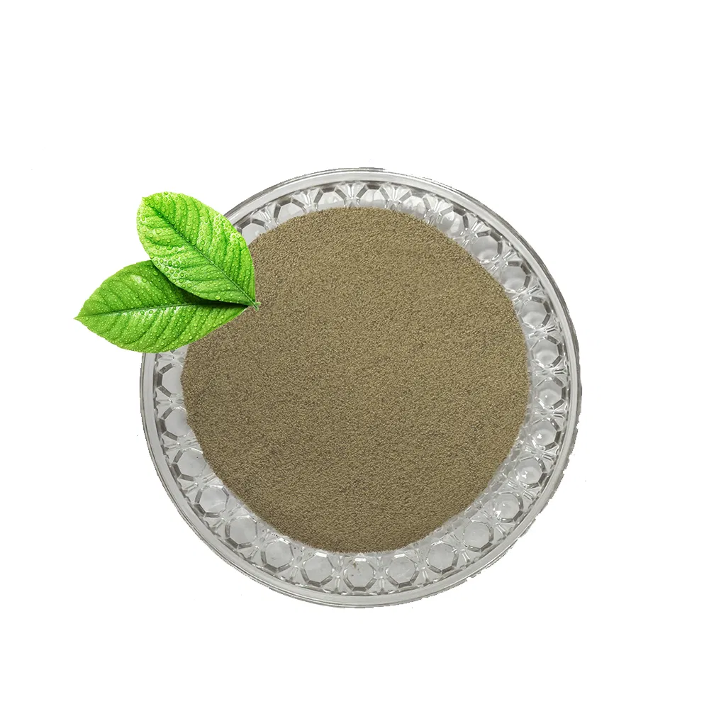 Top Quality Single Cell Protein Mycoprotein 70% Promote Animal Growth