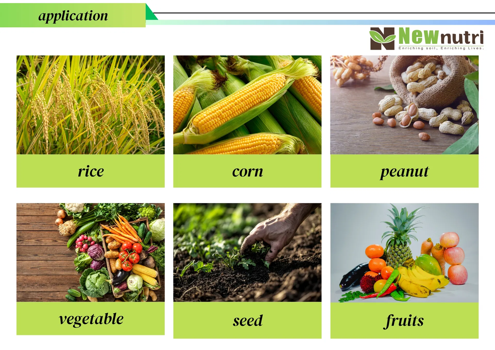 Logistics and Warehousing