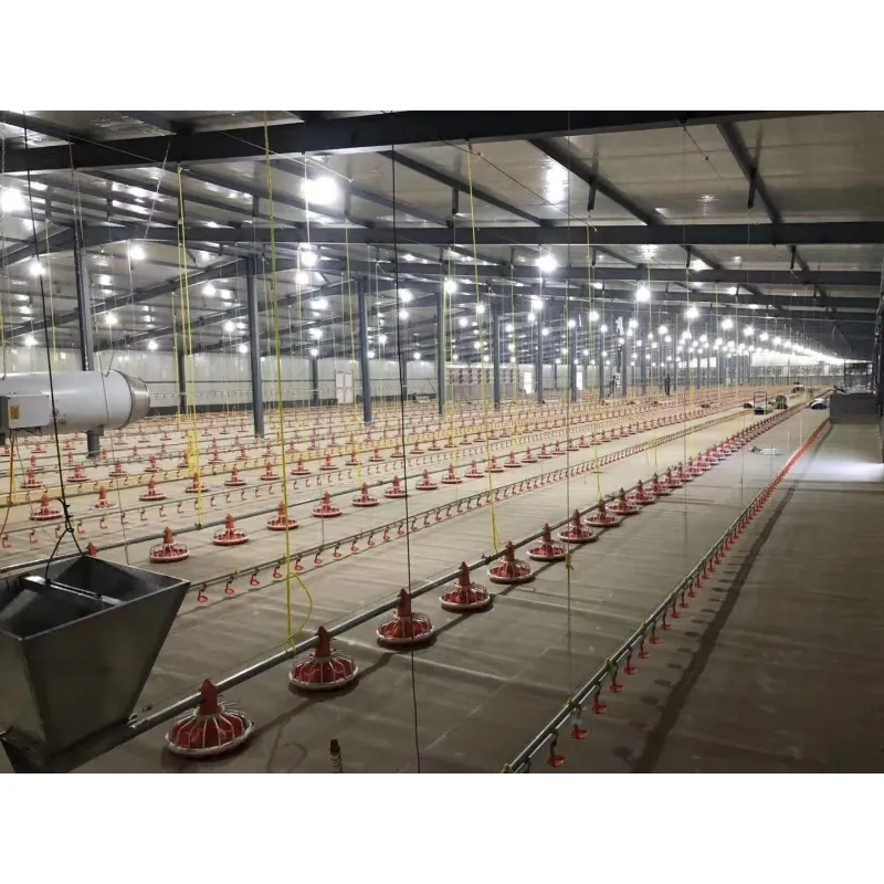 Poultry Equipment Installation