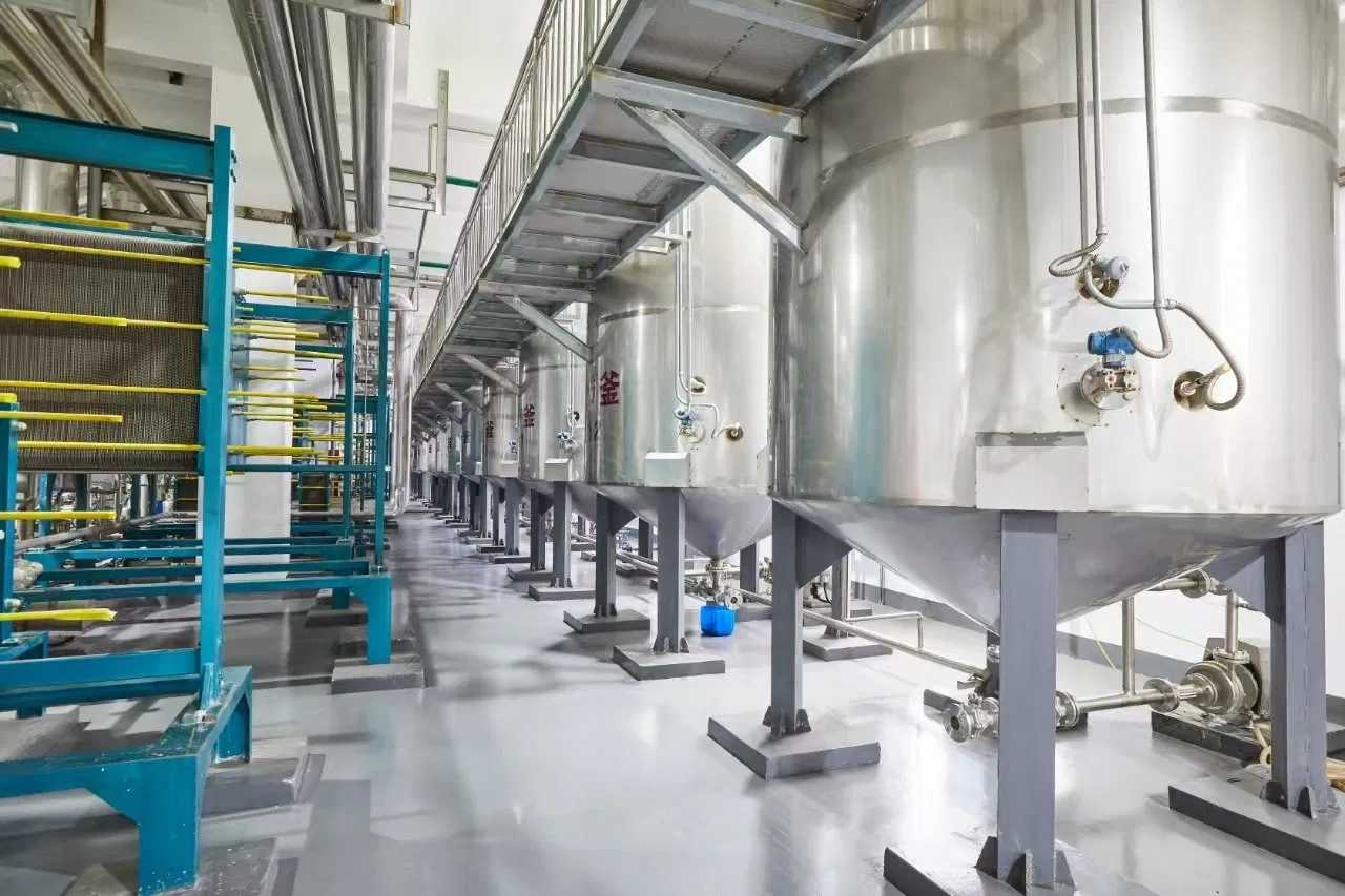 Stachyose Powder – Functional Prebiotic Oligosaccharide for Food and Dietary Supplements