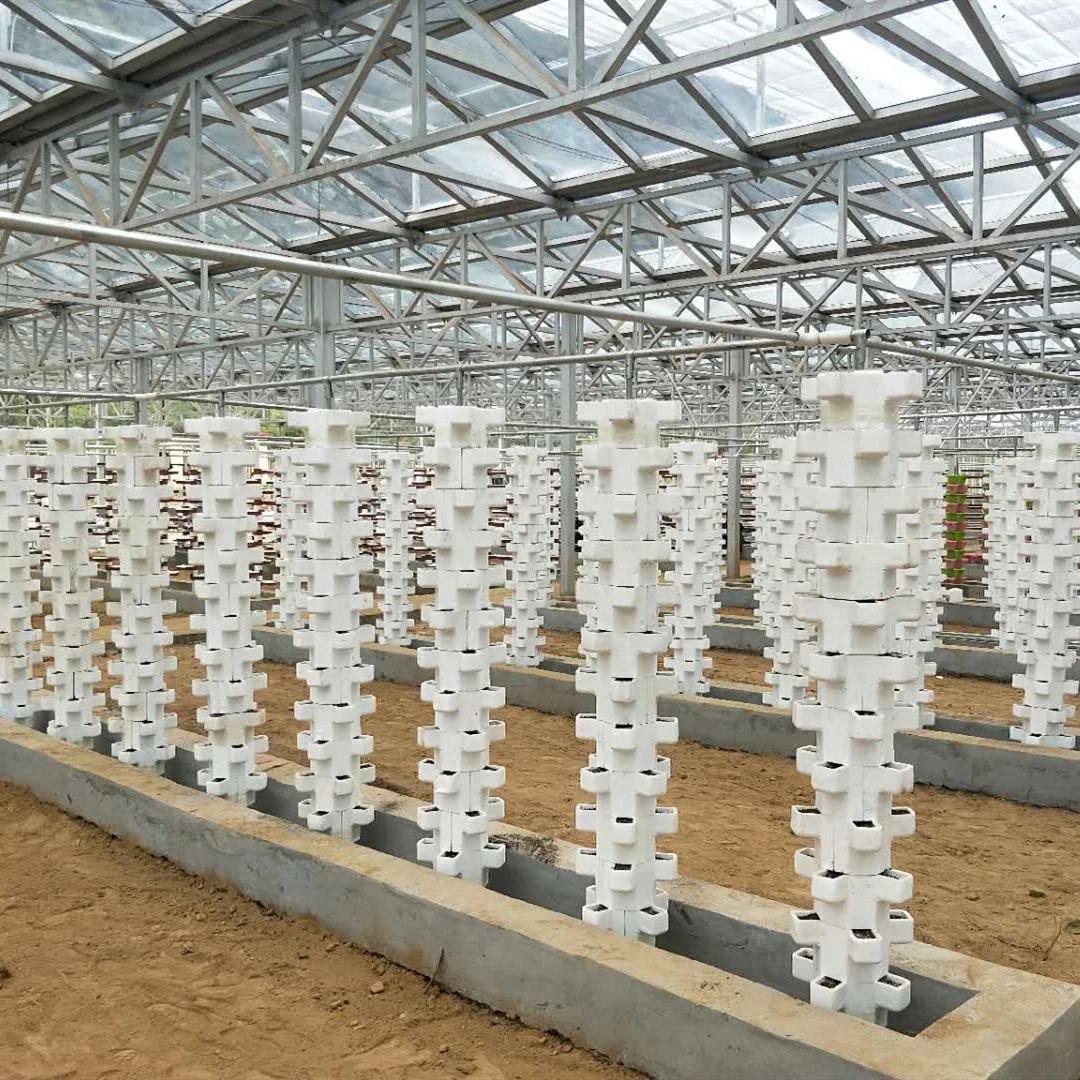 Customized Aquaponic Vertical Leafy Vegetable Hydroponics for Promotion