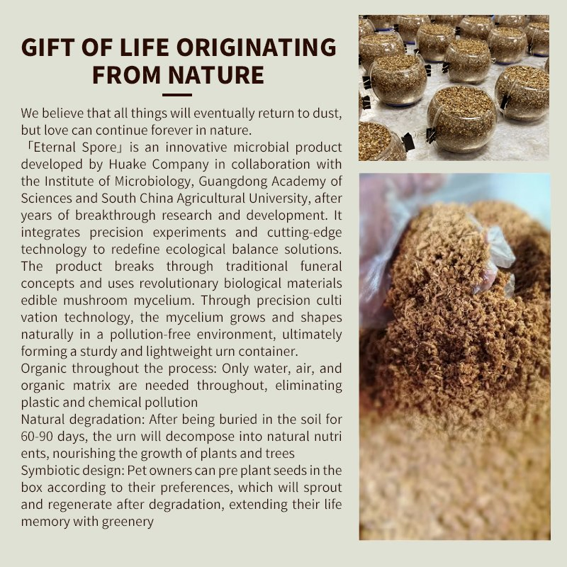 Sustainable Pet Cremation Box: Biodegradable Mycelium Craft, Organic and Seed-Inclusive - ODM Solutions for Trade