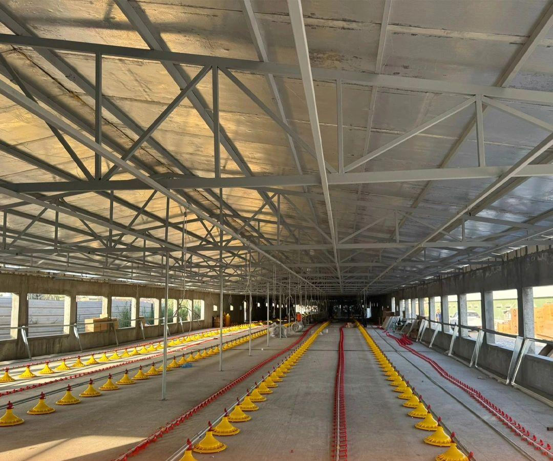 Top Quality Chicken Automatic Chicken Coop Poultry System