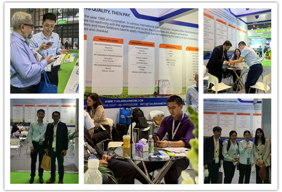 Exhibition and Business Presentation