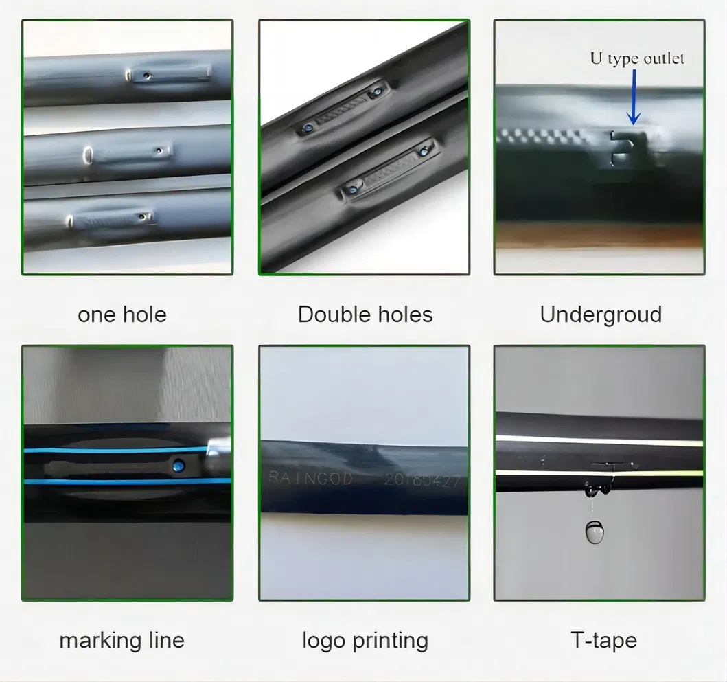 Greenhouse Plant Health