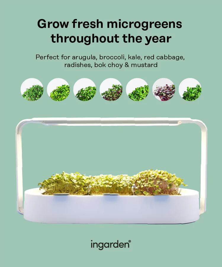 LED Grow Lights Hydroponics Growing System with Seeds and Devices