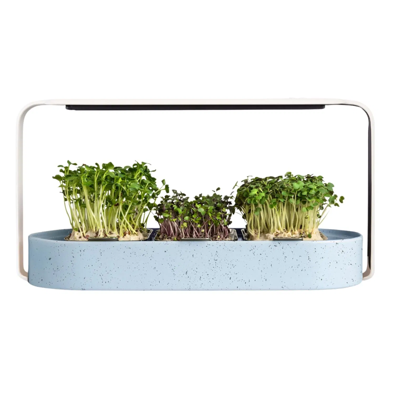 Ingarden Microgreen Growing Kit with Organic Superfood Sprouting Seed Pad Auto 4stage LED Grow Light Hydroponic Watering System Chic Upcycled Ocean Plastic Bowl