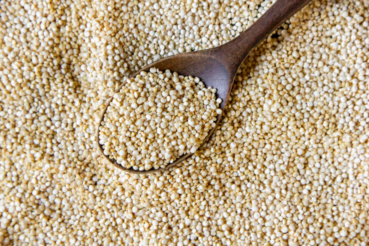 Hydrolyzed Quinoa Protein Powder Solution