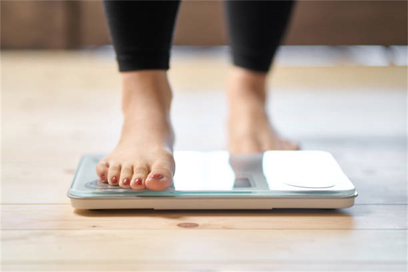 Black Bean Protein Powder Weight Management