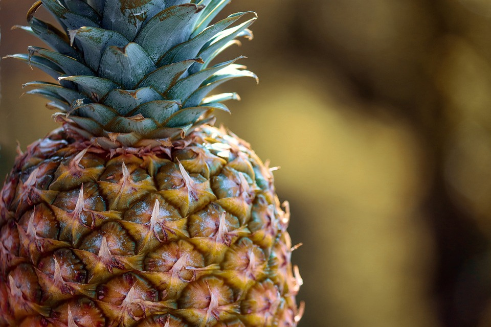 Bromelain Powder
