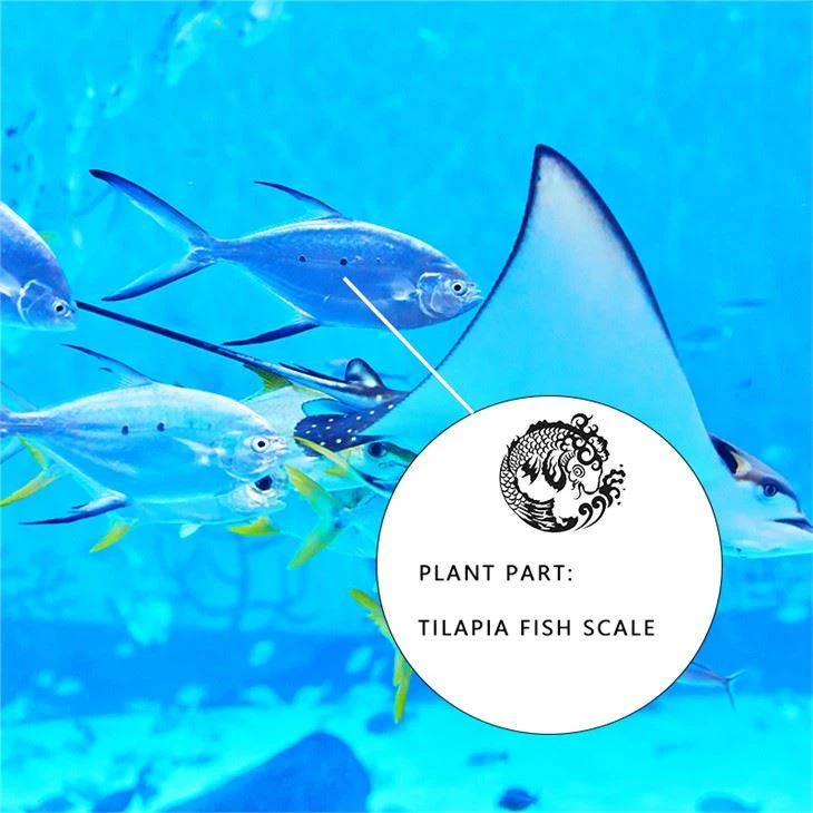 China Hydrolysed Fish Collagen Manufacturers, Factory