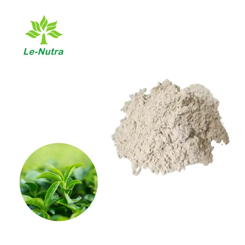 OEM OEM Vine Tea Extract Dihydromyricetin Powder in Natural Anti-Aging Products Suppliers, Supplier