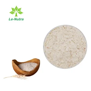 OEM High Quality Rice Protein Powder