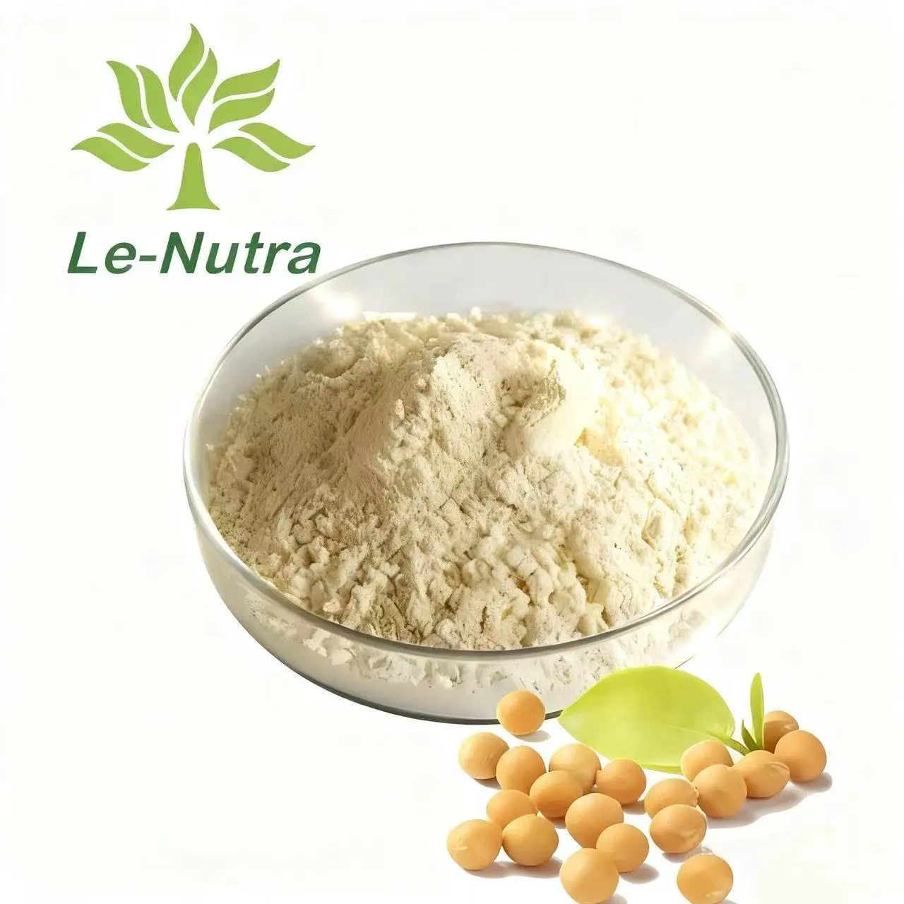OEM Daidzein Powder for Antioxidant and Anti-Aging Applications Suppliers, Pricelist