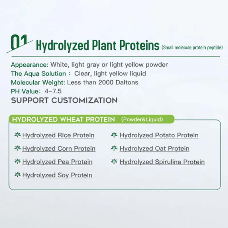 China Small Molecular Hydrolyzed Wheat Protein Powder for Hair Care Suppliers, Factory