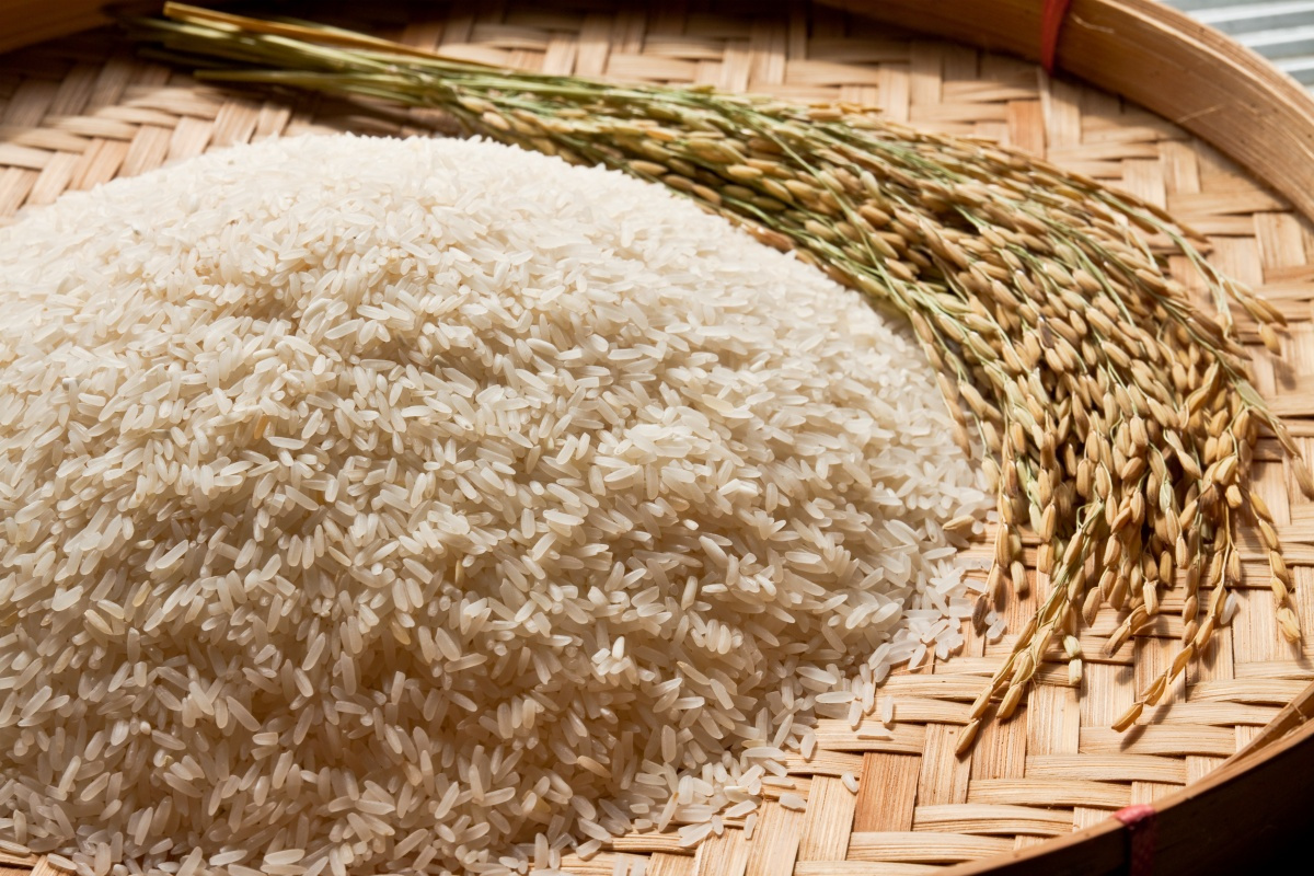Hydrolyzed Rice Potein