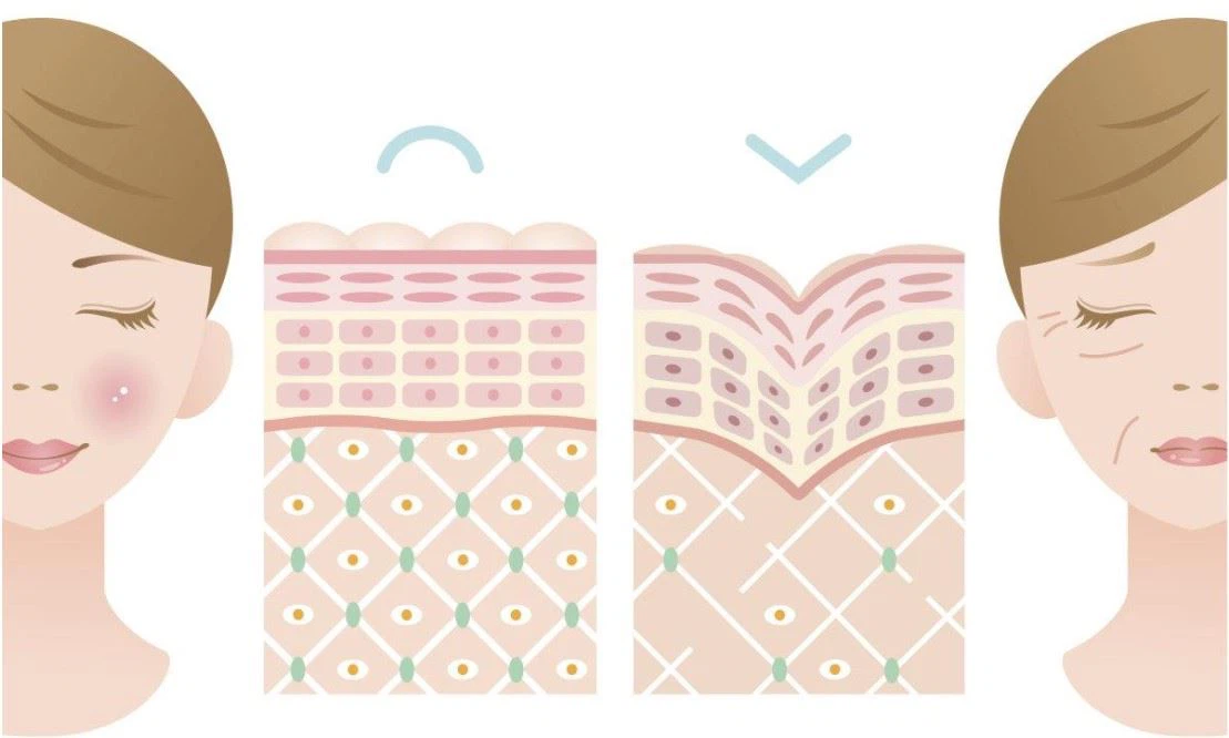 Hydroxypinacolone Retinoate Formulation Characteristics