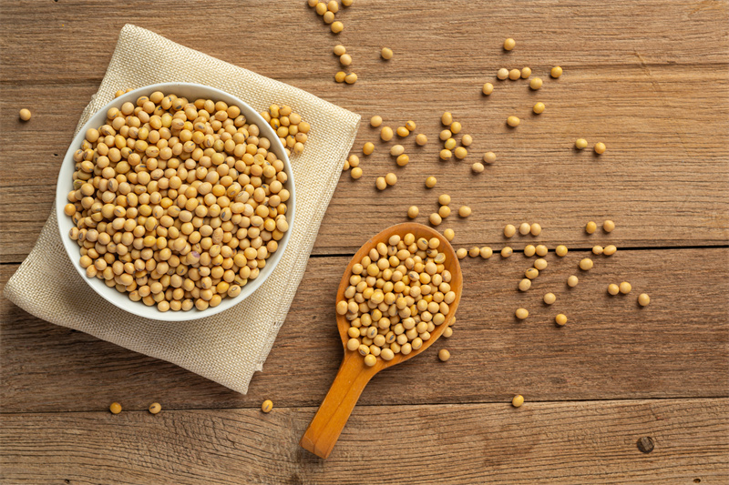 Soybean Peptide