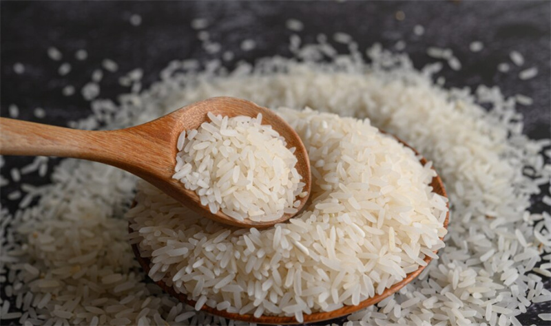 Rice Protein Powder Nutrition Profile