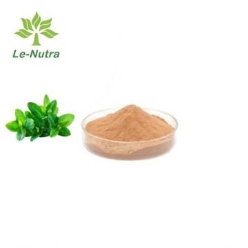 Lemon balm leaf extract powder