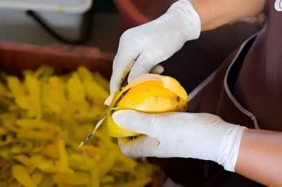 Pomelo Peel Extract Application