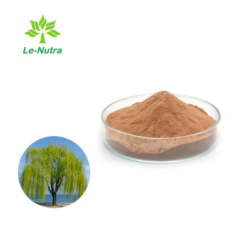 OEM High Quality Bulk White Willow Bark Extract Salicin Powder for Skin Manufacturers, Factories
