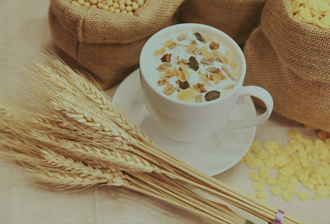 Hydrolyzed proteins and vegetal proteins ingredients