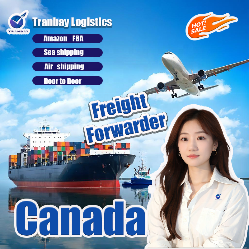LCL Express Sea Freight Forwarder Worldwide Freight Forwarding Door to Door Ddp Shipping Agent China to USA/Canada/Europe/AU
