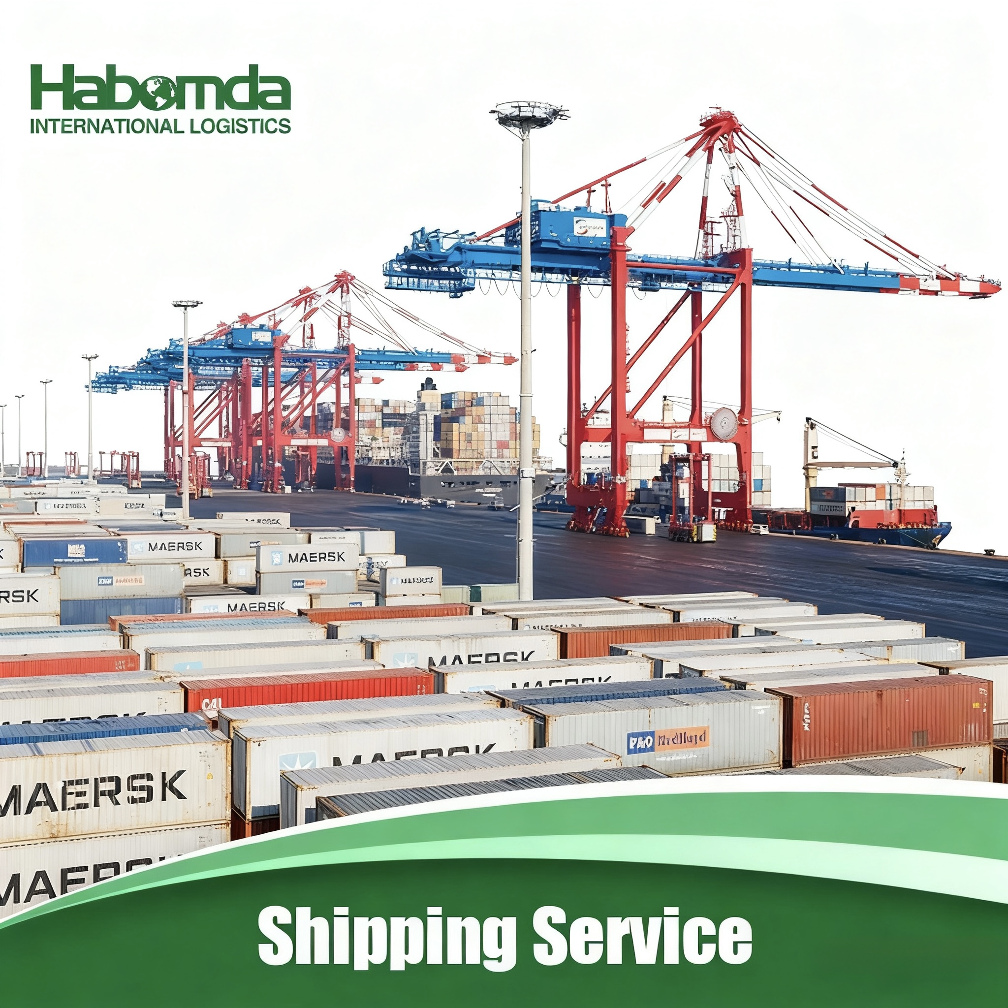 China to Worldwide Sea Freight Forwarder Door to Door Shipping Service