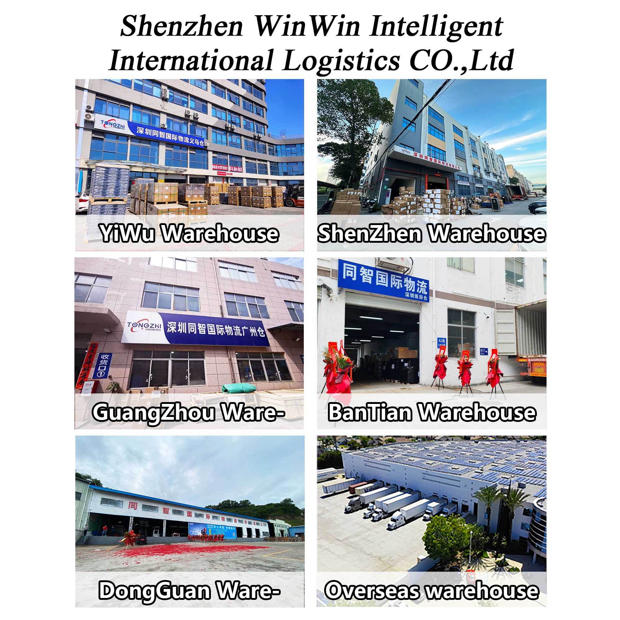 International Sea Freight Forwarder for FCL DDP to Europe Full Container Load Shipping Agent