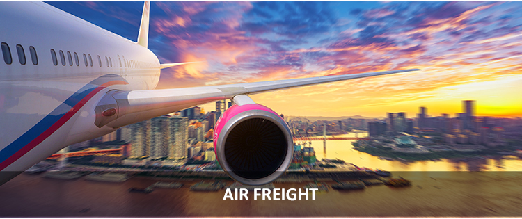 Shipping Options Overview