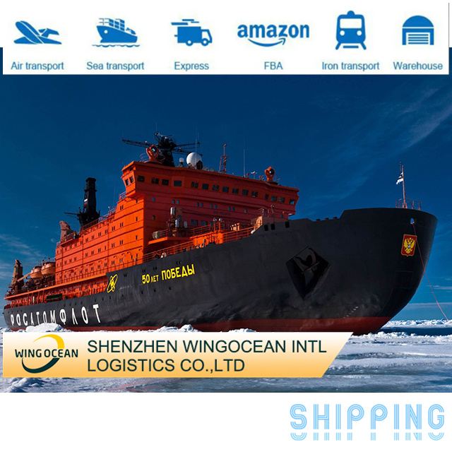 FCL Container International Shipping Sea Freight Door to Door Ddp Shipping LCL Shipping Agent From China to Usa